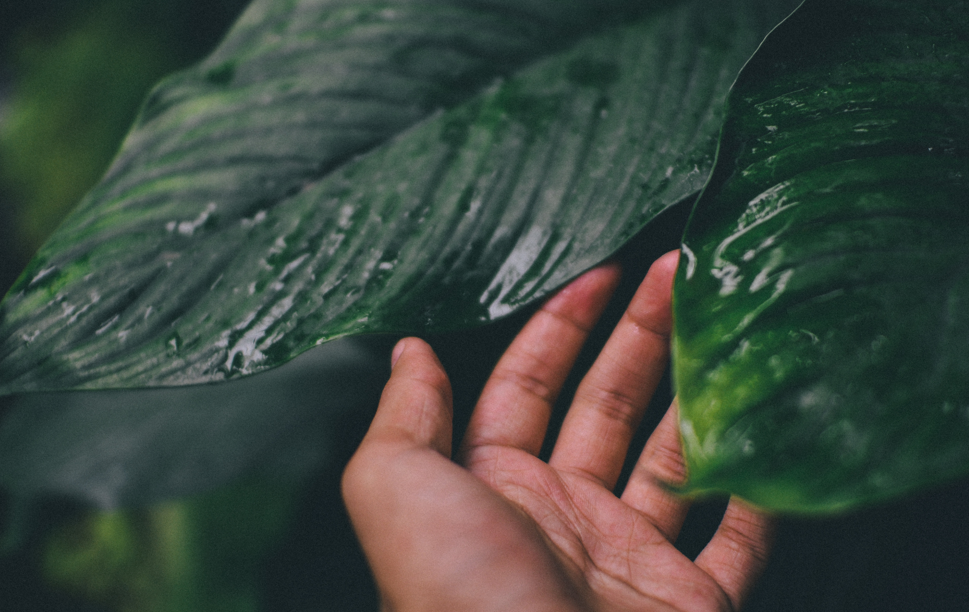 Du kan delbetala räntefritt
under 36 mån via Zavier